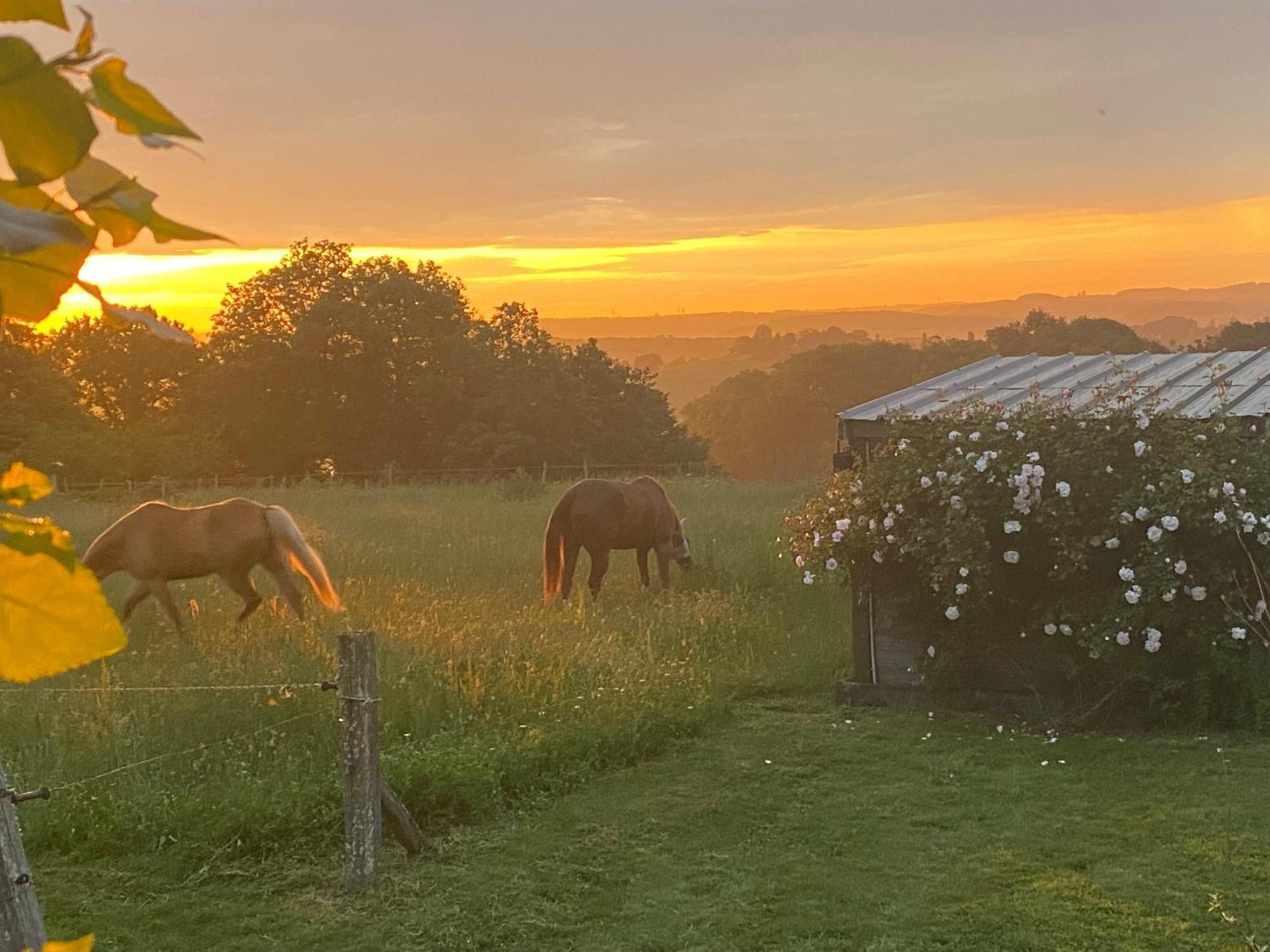 Logement Entier De Charme, Gite Equestre Gers Flamarens Kültér fotó