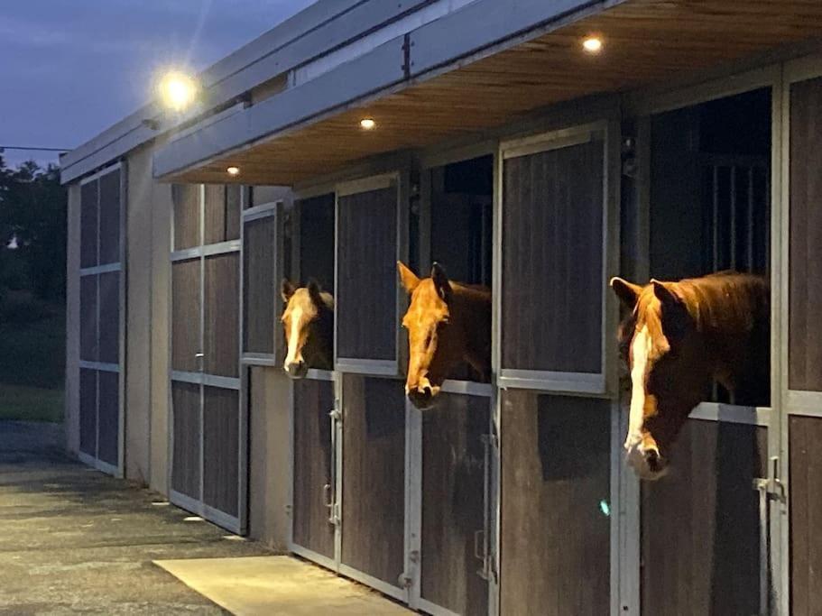 Logement Entier De Charme, Gite Equestre Gers Flamarens Kültér fotó