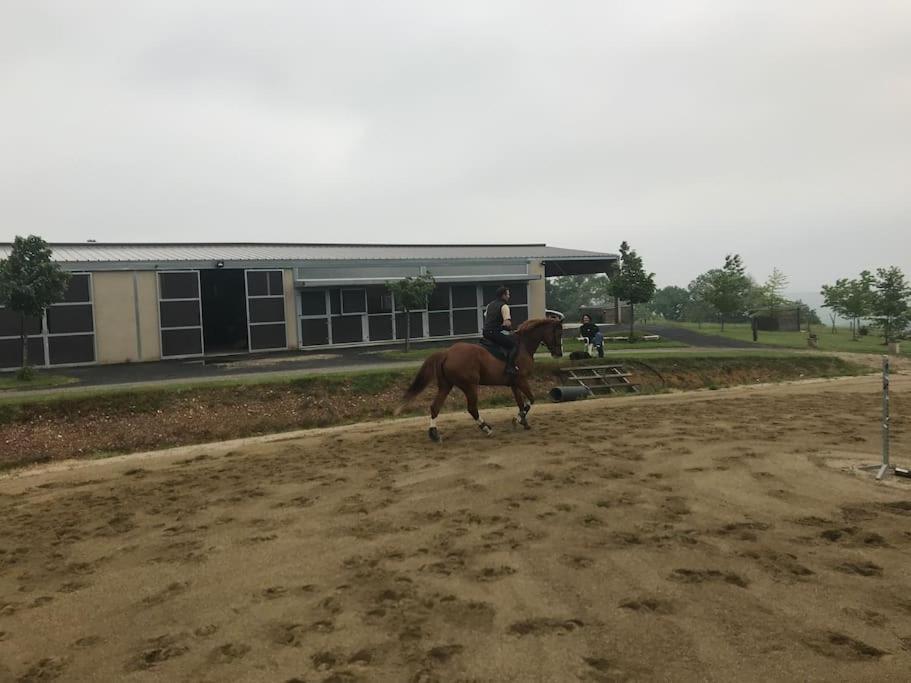 Logement Entier De Charme, Gite Equestre Gers Flamarens Kültér fotó