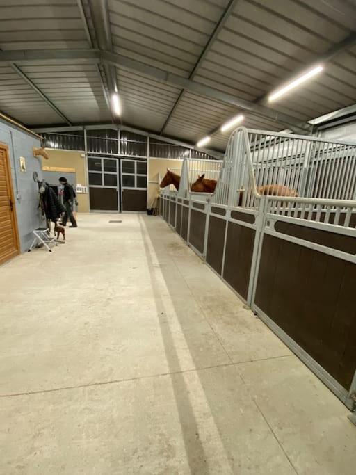 Logement Entier De Charme, Gite Equestre Gers Flamarens Kültér fotó