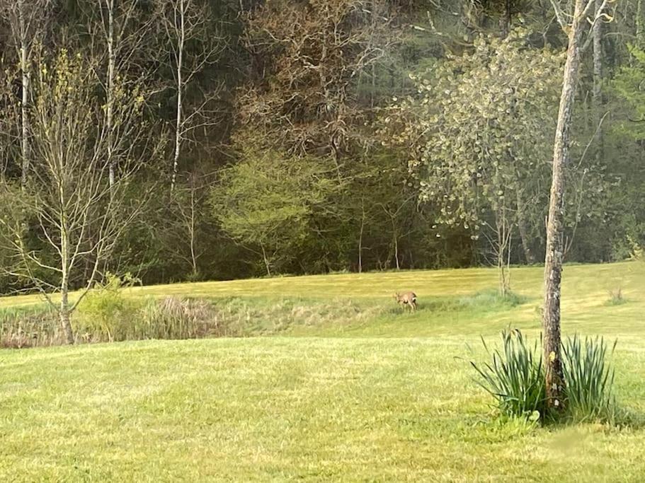 Logement Entier De Charme, Gite Equestre Gers Flamarens Kültér fotó