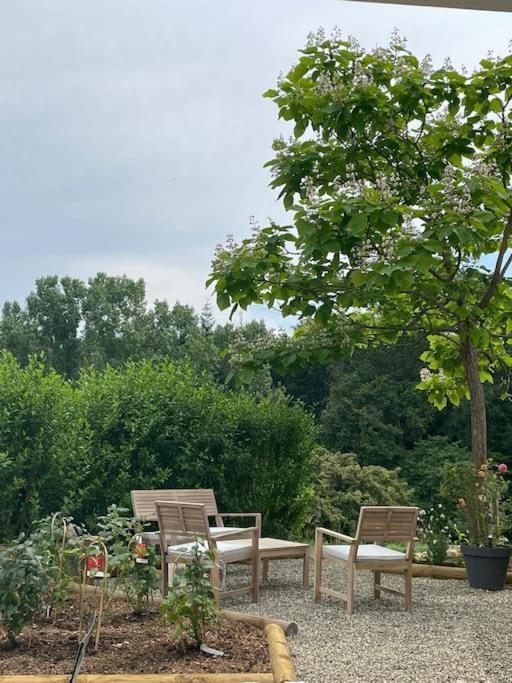 Logement Entier De Charme, Gite Equestre Gers Flamarens Kültér fotó